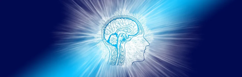 Neuro Surge Neuro Surge Reviews are gaining serious attention and for good reason. This brain-boosting supplement claims to sharpen focus, clear brain fog, and even support metabolism.