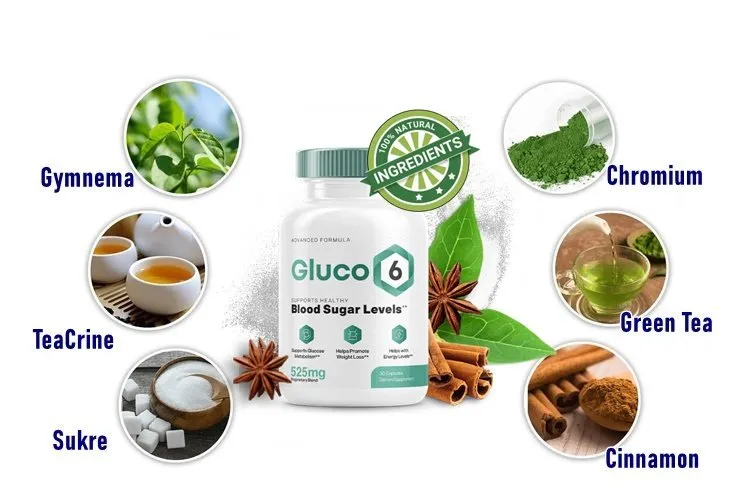 Gluco6 The Smarter Way to Manage Blood Sugar Instant Defense from Sugar Spikes with Next-Gen Glucose Control.