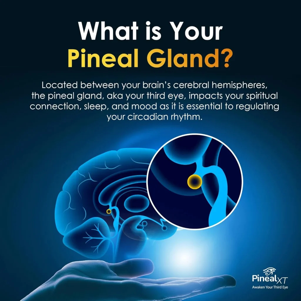 Pineal XT: Unlock Your Mind’s True Potential