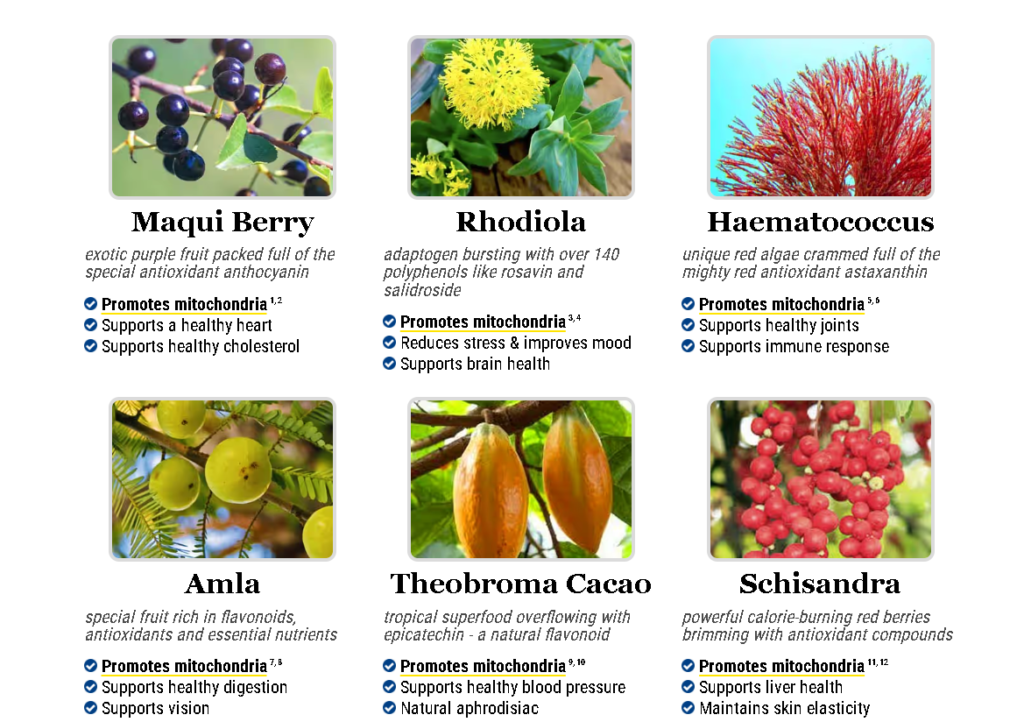 “Mitolyn: The Formula Transforming Stubborn Fat.