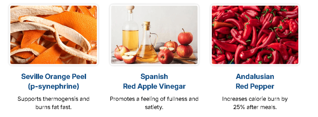 CitrusBurn Reviews: Does It Work? Real Results Inside