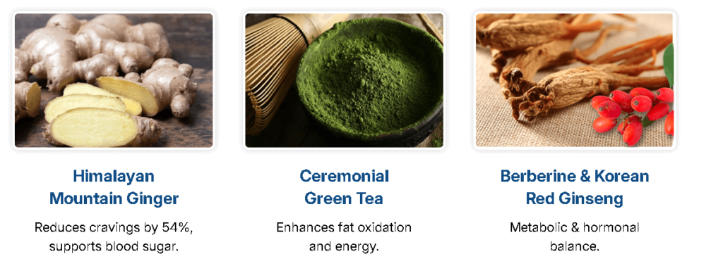 CitrusBurn Reviews: Does It Work? Real Results Inside