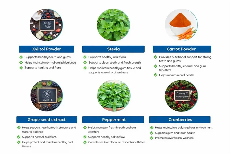 Biodentex Review 2026 – Does It Really Support Oral Health?